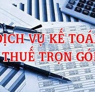 Dịch vụ kế toán trọn gói, dịch vụ báo cáo tài chính tại TP.HCM