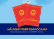 Mẫu giấy phép kinh doanh từng loại hình doanh nghiệp