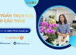 Công ty dịch vụ kế toán thuế trọn gói (Báo cáo thuế)